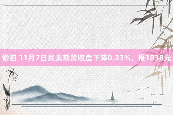 偷拍 11月7日尿素期货收盘下降0.33%，报1838元