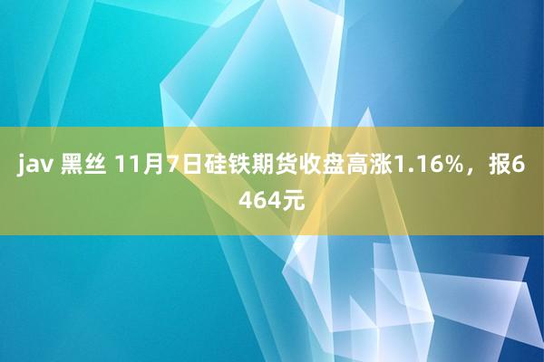 jav 黑丝 11月7日硅铁期货收盘高涨1.16%，报6464元