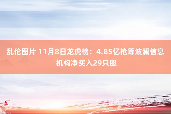 乱伦图片 11月8日龙虎榜：4.85亿抢筹波澜信息 机构净买入29只股