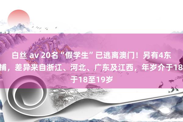 白丝 av 20名“假学生”已逃离澳门！另有4东谈主被捕，差异来自浙江、河北、广东及江西，年岁介于18至19岁