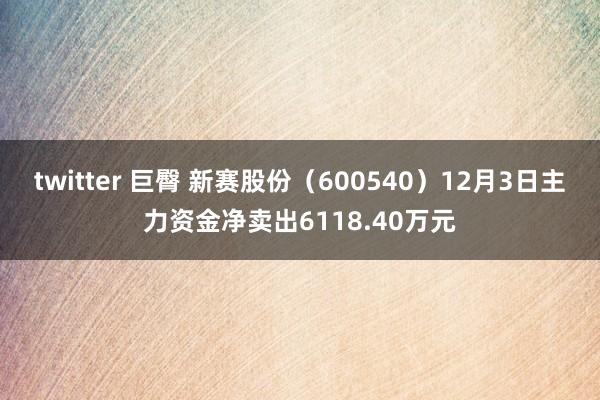 twitter 巨臀 新赛股份（600540）12月3日主力资金净卖出6118.40万元