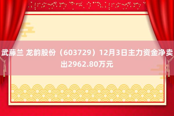 武藤兰 龙韵股份（603729）12月3日主力资金净卖出2962.80万元