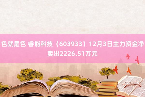 色就是色 睿能科技（603933）12月3日主力资金净卖出2226.51万元