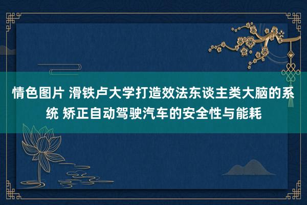 情色图片 滑铁卢大学打造效法东谈主类大脑的系统 矫正自动驾驶汽车的安全性与能耗