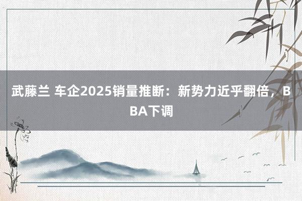 武藤兰 车企2025销量推断：新势力近乎翻倍，BBA下调