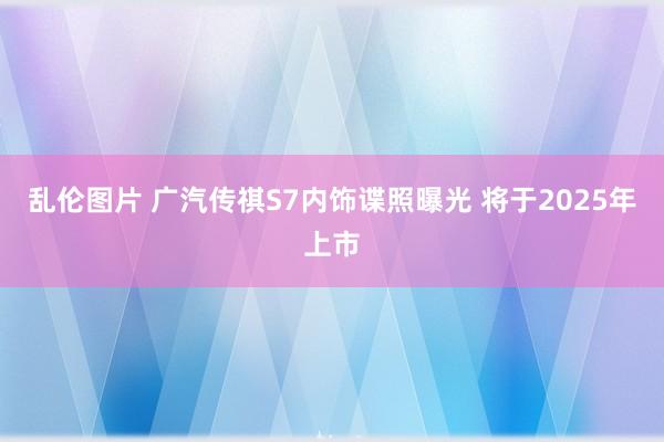 乱伦图片 广汽传祺S7内饰谍照曝光 将于2025年上市