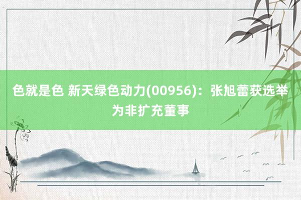 色就是色 新天绿色动力(00956)：张旭蕾获选举为非扩充董事