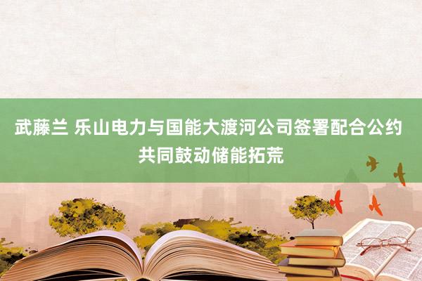 武藤兰 乐山电力与国能大渡河公司签署配合公约 共同鼓动储能拓荒