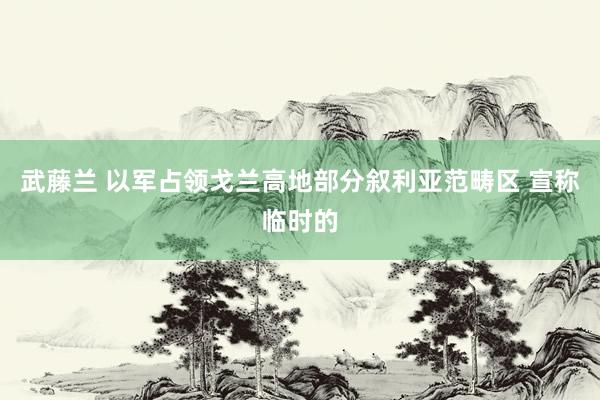 武藤兰 以军占领戈兰高地部分叙利亚范畴区 宣称临时的