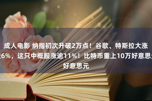 成人电影 纳指初次升破2万点！谷歌、特斯拉大涨近6%，这只中概股涨逾11%！比特币重上10万好意思元