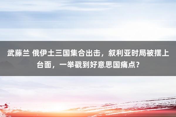 武藤兰 俄伊土三国集合出击，叙利亚时局被摆上台面，一举戳到好意思国痛点？