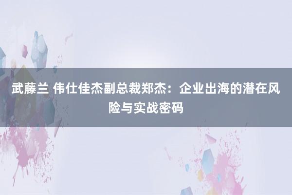 武藤兰 伟仕佳杰副总裁郑杰：企业出海的潜在风险与实战密码