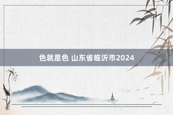 色就是色 山东省临沂市2024