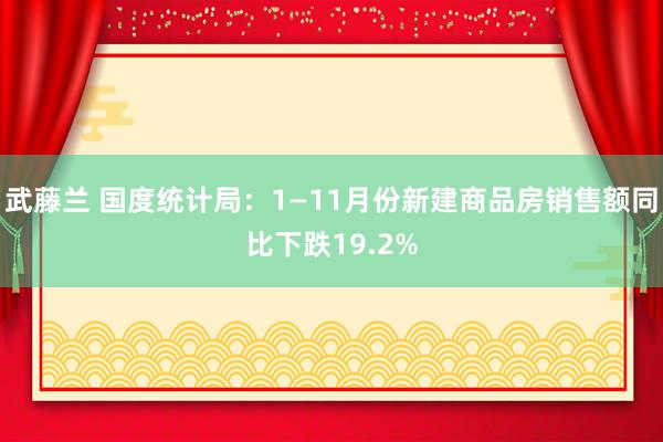 武藤兰 国度统计局：1—11月份新建商品房销售额同比下跌19.2%