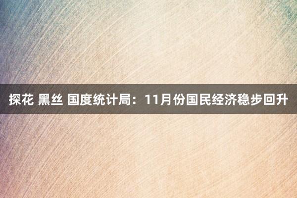 探花 黑丝 国度统计局：11月份国民经济稳步回升