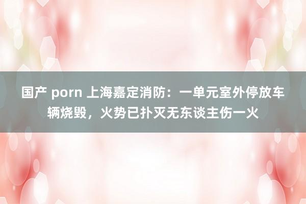 国产 porn 上海嘉定消防：一单元室外停放车辆烧毁，火势已扑灭无东谈主伤一火