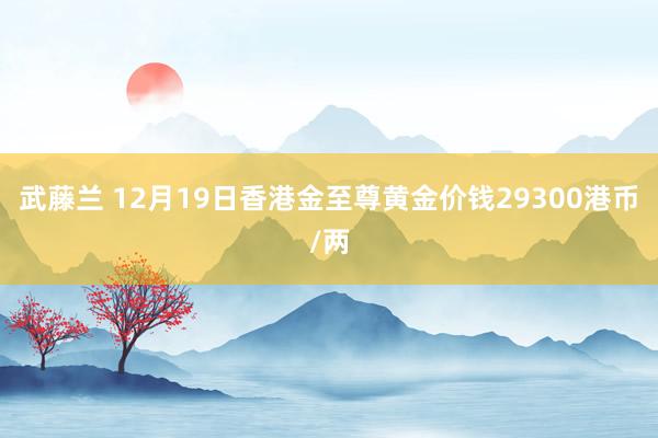 武藤兰 12月19日香港金至尊黄金价钱29300港币/两