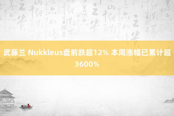 武藤兰 Nukkleus盘前跌超12% 本周涨幅已累计超3600%