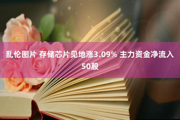 乱伦图片 存储芯片见地涨3.09% 主力资金净流入50股