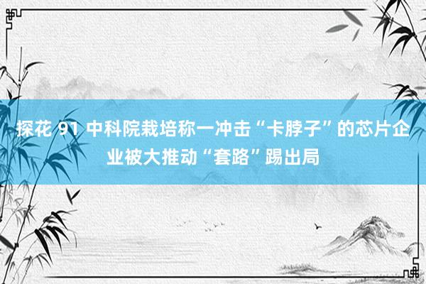 探花 91 中科院栽培称一冲击“卡脖子”的芯片企业被大推动“套路”踢出局