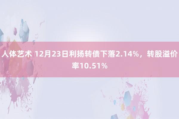 人体艺术 12月23日利扬转债下落2.14%，转股溢价率10.51%