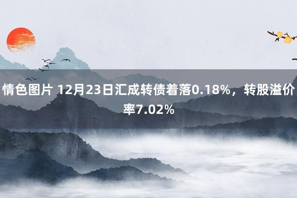 情色图片 12月23日汇成转债着落0.18%，转股溢价率7.02%