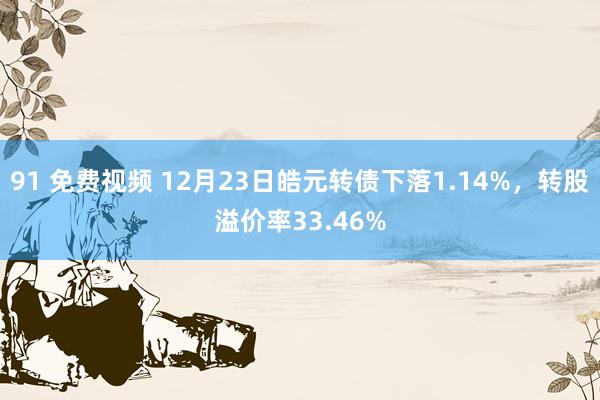 91 免费视频 12月23日皓元转债下落1.14%，转股溢价率33.46%