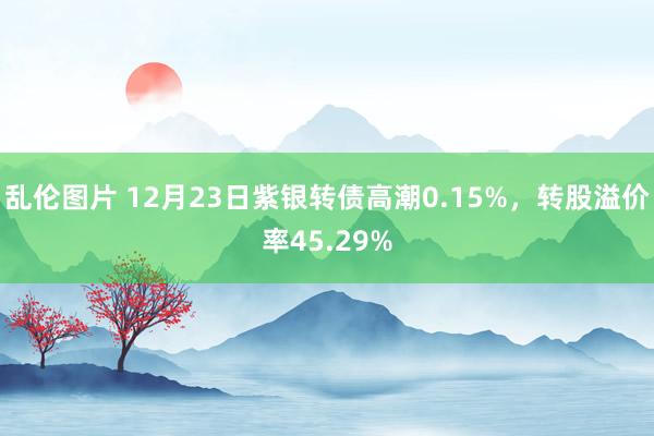 乱伦图片 12月23日紫银转债高潮0.15%，转股溢价率45.29%