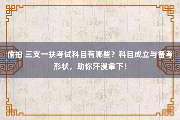 偷拍 三支一扶考试科目有哪些？科目成立与备考形状，助你汗漫拿下！