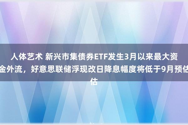 人体艺术 新兴市集债券ETF发生3月以来最大资金外流，好意思联储浮现改日降息幅度将低于9月预估