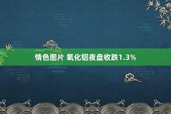 情色图片 氧化铝夜盘收跌1.3%