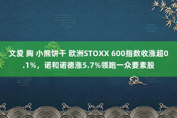 文爱 胸 小熊饼干 欧洲STOXX 600指数收涨超0.1%，诺和诺德涨5.7%领跑一众要素股