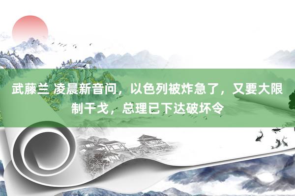 武藤兰 凌晨新音问，以色列被炸急了，又要大限制干戈，总理已下达破坏令