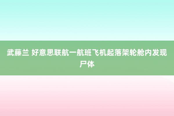 武藤兰 好意思联航一航班飞机起落架轮舱内发现尸体