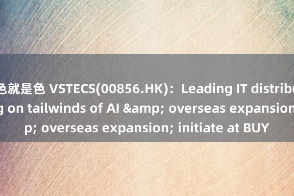 色就是色 VSTECS(00856.HK)：Leading IT distributor in Asia riding on tailwinds of AI & overseas expansion; initiate at BUY