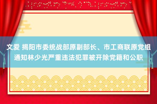 文爱 揭阳市委统战部原副部长、市工商联原党组通知林少光严重违法犯罪被开除党籍和公职