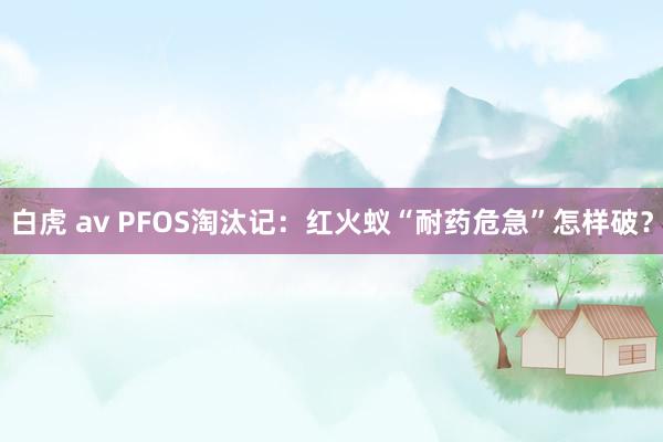 白虎 av PFOS淘汰记：红火蚁“耐药危急”怎样破？