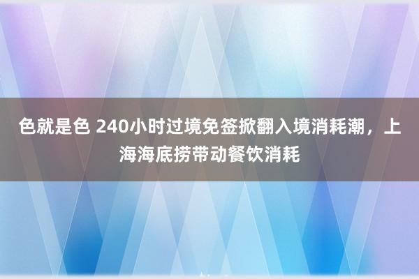 色就是色 240小时过境免签掀翻入境消耗潮，上海海底捞带动餐饮消耗