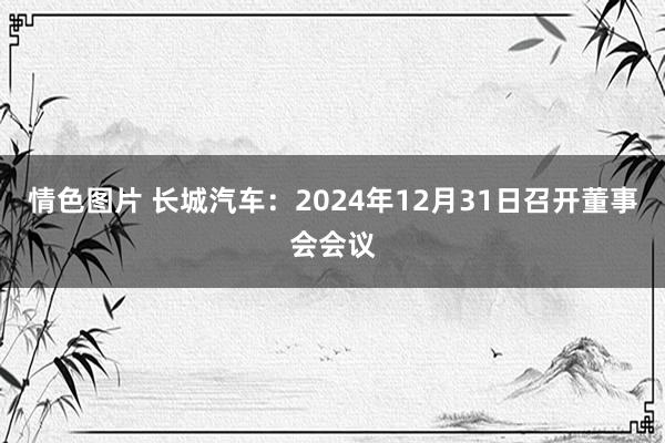 情色图片 长城汽车：2024年12月31日召开董事会会议