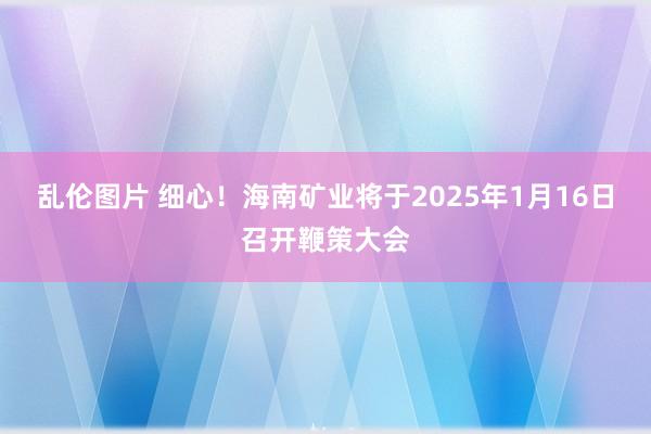 乱伦图片 细心！海南矿业将于2025年1月16日召开鞭策大会