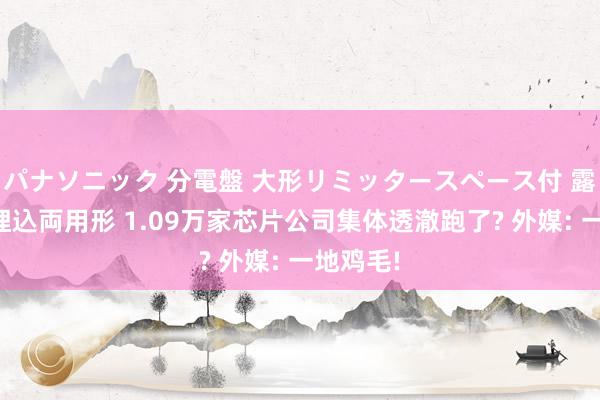 パナソニック 分電盤 大形リミッタースペース付 露出・半埋込両用形 1.09万家芯片公司集体透澈跑了? 外媒: 一地鸡毛!