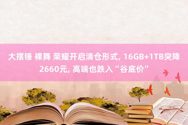 大摆锤 裸舞 荣耀开启清仓形式， 16GB+1TB突降2660元， 高端也跌入“谷底价”