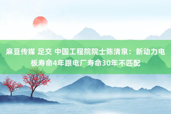 麻豆传媒 足交 中国工程院院士陈清泉：新动力电板寿命4年跟电厂寿命30年不匹配