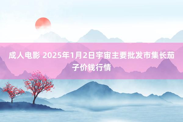 成人电影 2025年1月2日宇宙主要批发市集长茄子价钱行情