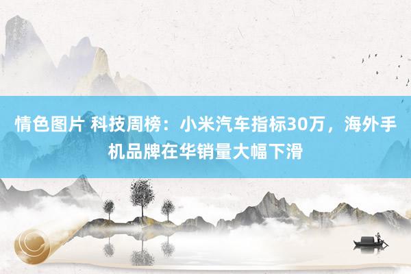 情色图片 科技周榜：小米汽车指标30万，海外手机品牌在华销量大幅下滑