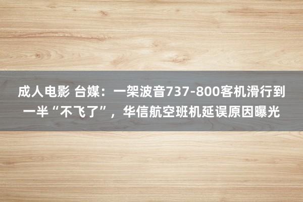 成人电影 台媒：一架波音737-800客机滑行到一半“不飞了”，华信航空班机延误原因曝光