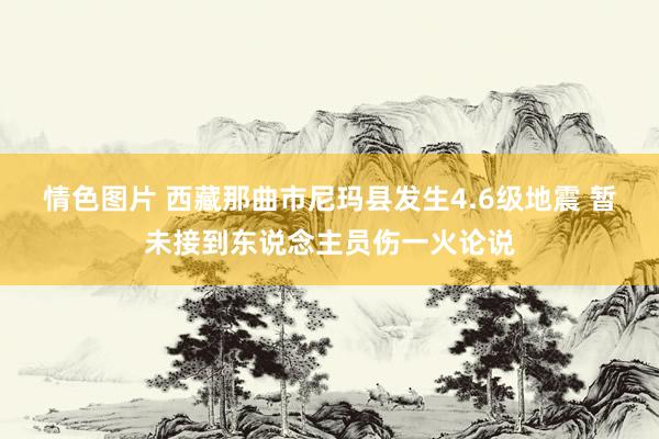 情色图片 西藏那曲市尼玛县发生4.6级地震 暂未接到东说念主员伤一火论说