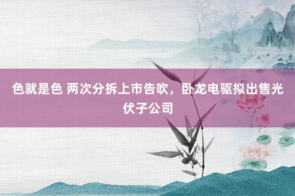 色就是色 两次分拆上市告吹，卧龙电驱拟出售光伏子公司