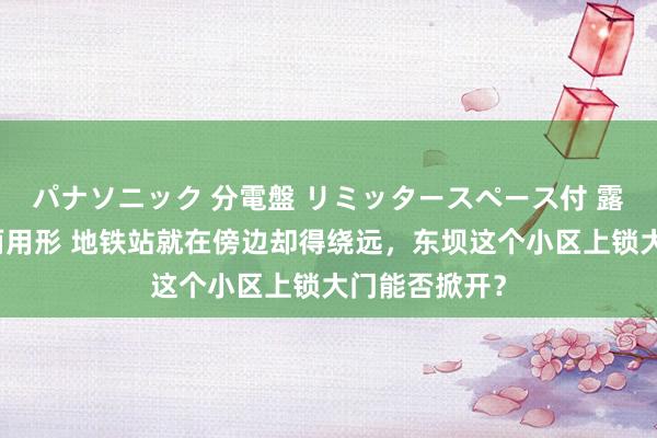 パナソニック 分電盤 リミッタースペース付 露出・半埋込両用形 地铁站就在傍边却得绕远，东坝这个小区上锁大门能否掀开？