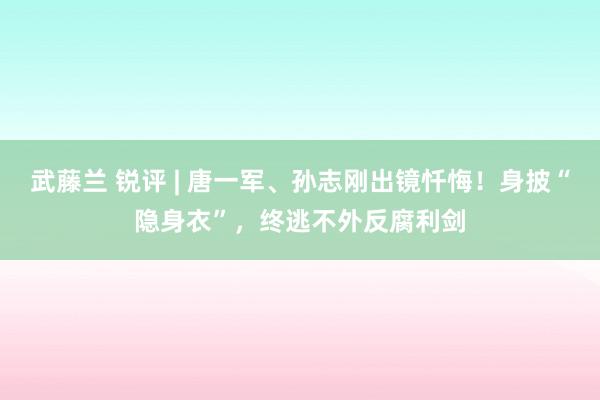 武藤兰 锐评 | 唐一军、孙志刚出镜忏悔！身披“隐身衣”，终逃不外反腐利剑